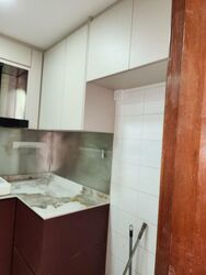Sanctuary Green (D15), Condominium #507219681